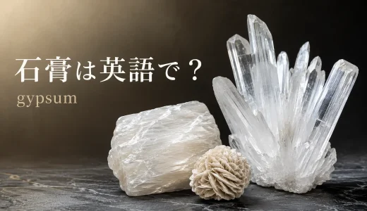 石膏は英語でgypsum｜発音・語源・seleniteやplasterとの違い