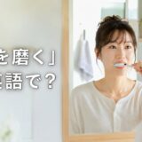 鏡の前で歯を磨く女性。「歯を磨く」は英語で？