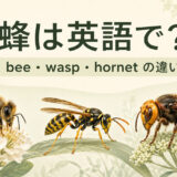 蜂は英語で？bee・wasp・hornetの違いを示すアイキャッチ