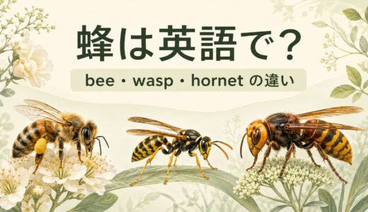 蜂は英語で？bee・wasp・hornetの違いと「刺された」の言い方