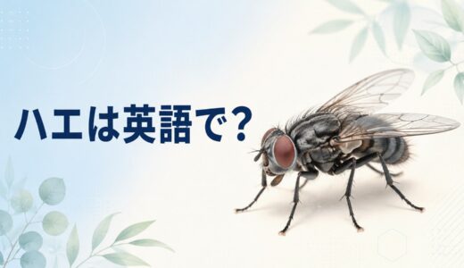 ハエは英語で？flyの発音・複数形fliesと種類、ウジの英語を解説