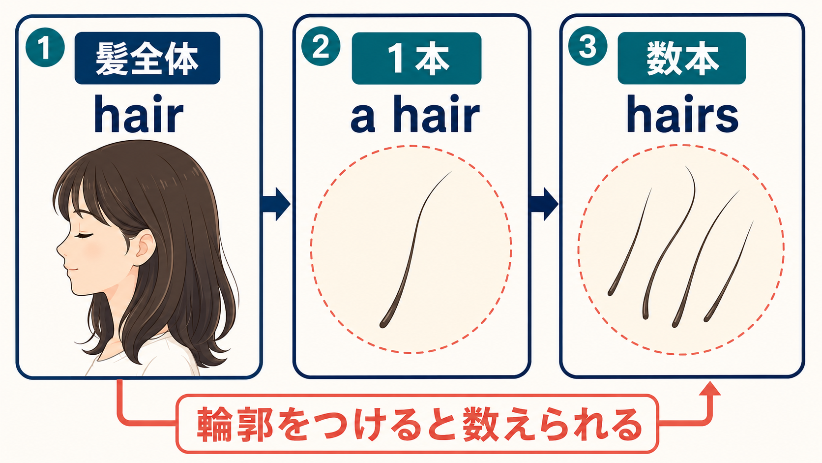 髪全体のhair、一本のa hair、数本のhairsを輪郭の違いで示した図解