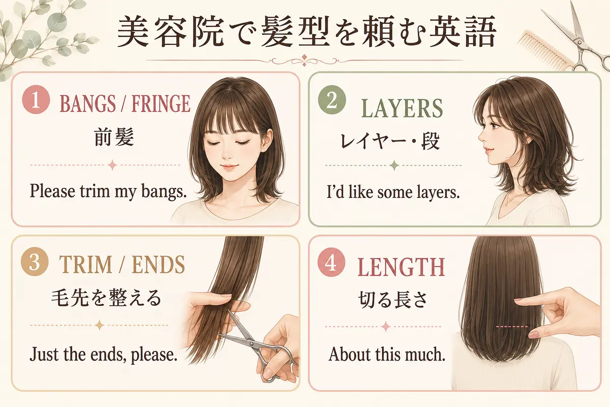 bangs、fringe、layers、trim、endsと髪の長さを示す英語図解