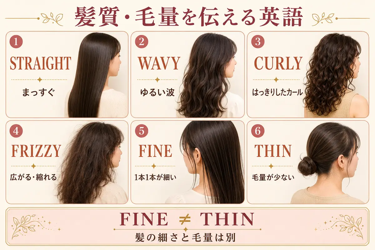 straight・wavy・curly・frizzy・fine・thinの違いを示す図解