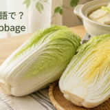 白菜は英語でnapa cabbageと説明する記事のアイキャッチ