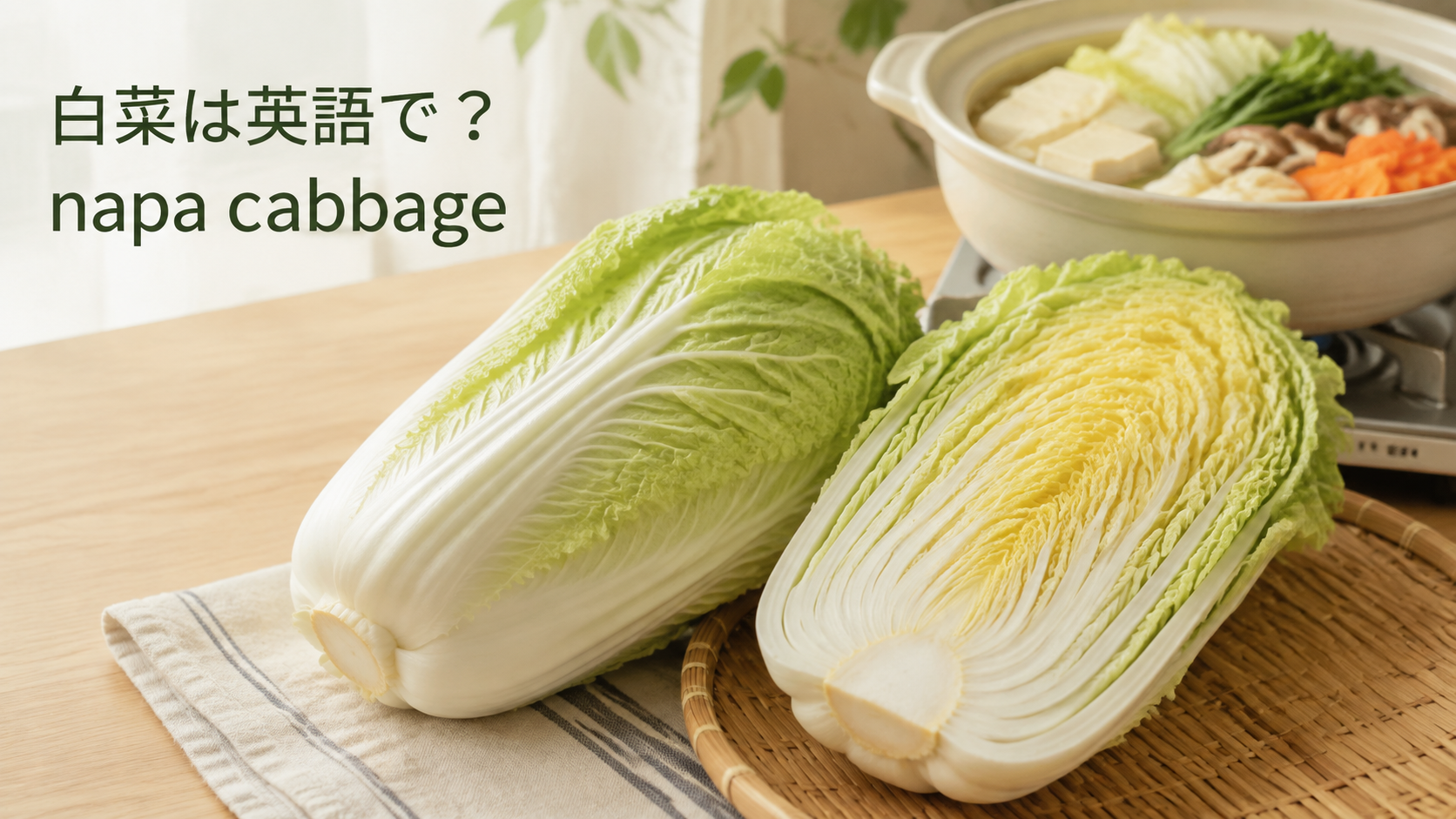 白菜は英語でnapa cabbageと説明する記事のアイキャッチ