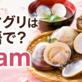 ハマグリは英語でclamと表すことを伝えるアイキャッチ