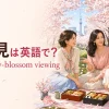 花見は英語でcherry-blossom viewingと紹介するイラスト