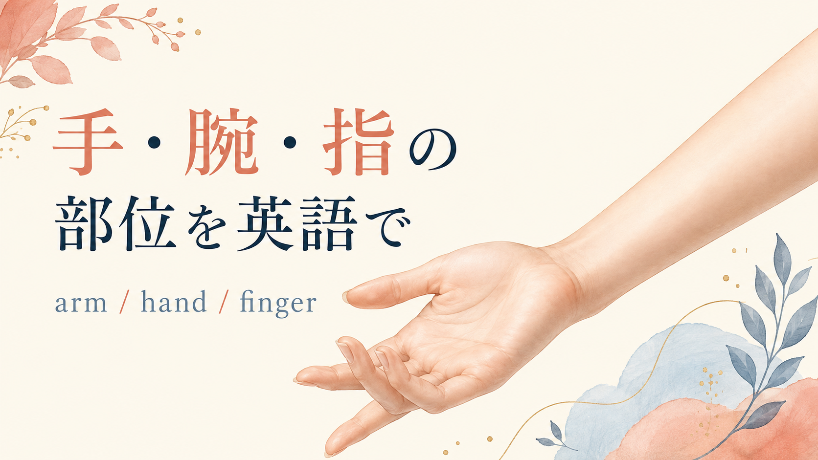 手・腕・指の部位を英語で｜arm・hand・fingerの違いと英単語一覧