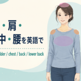 頭・首・肩・胸・背中・腰を英語で:head、neck、shoulder、chest、back、lower back