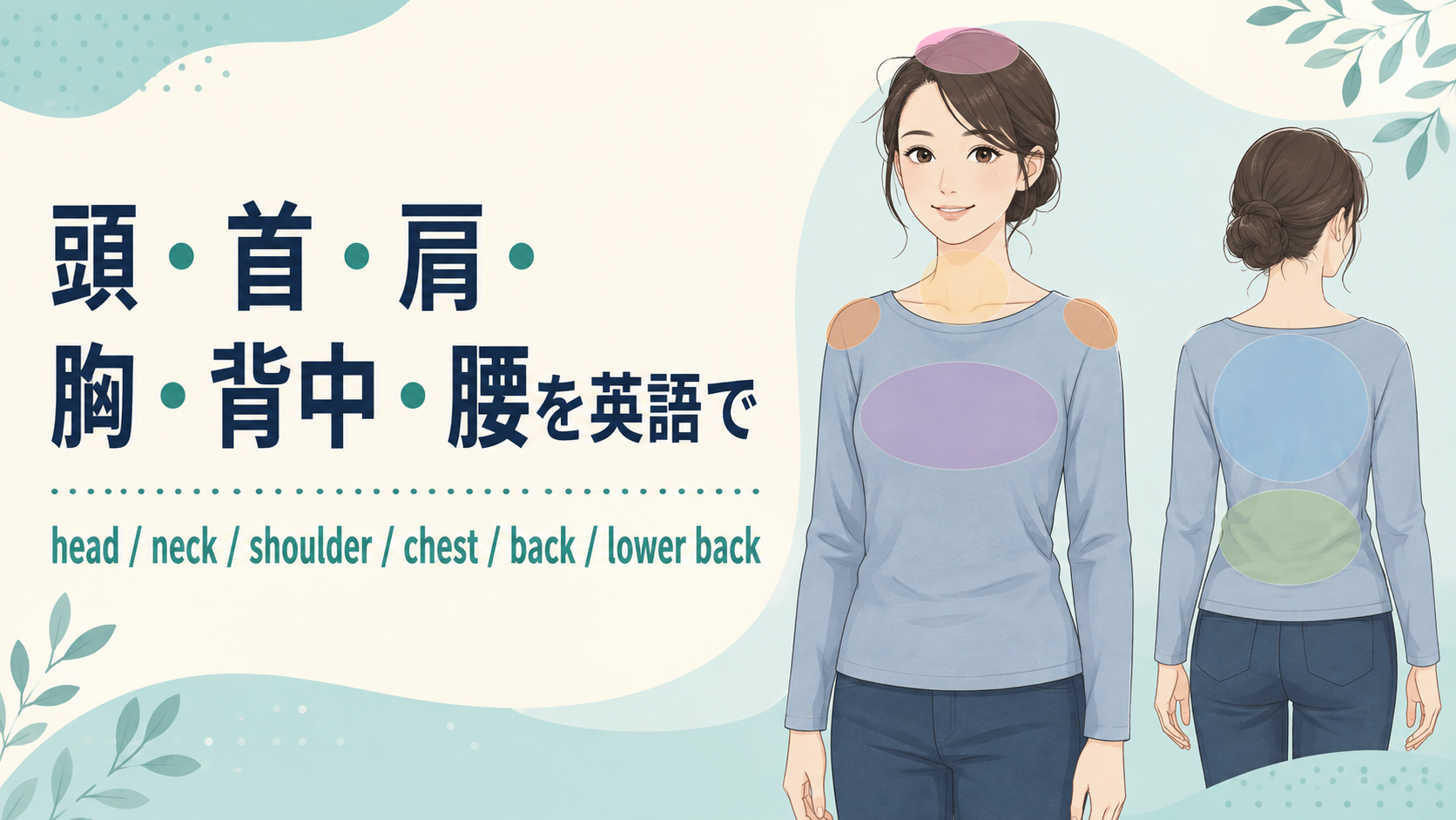 頭・首・肩・胸・背中・腰を英語で｜chest・back・waistの違い