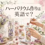 ハーバリウム作りは英語で？ herbariumの意味と説明表現