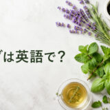 ハーブは英語でherb|身近なハーブの英語一覧