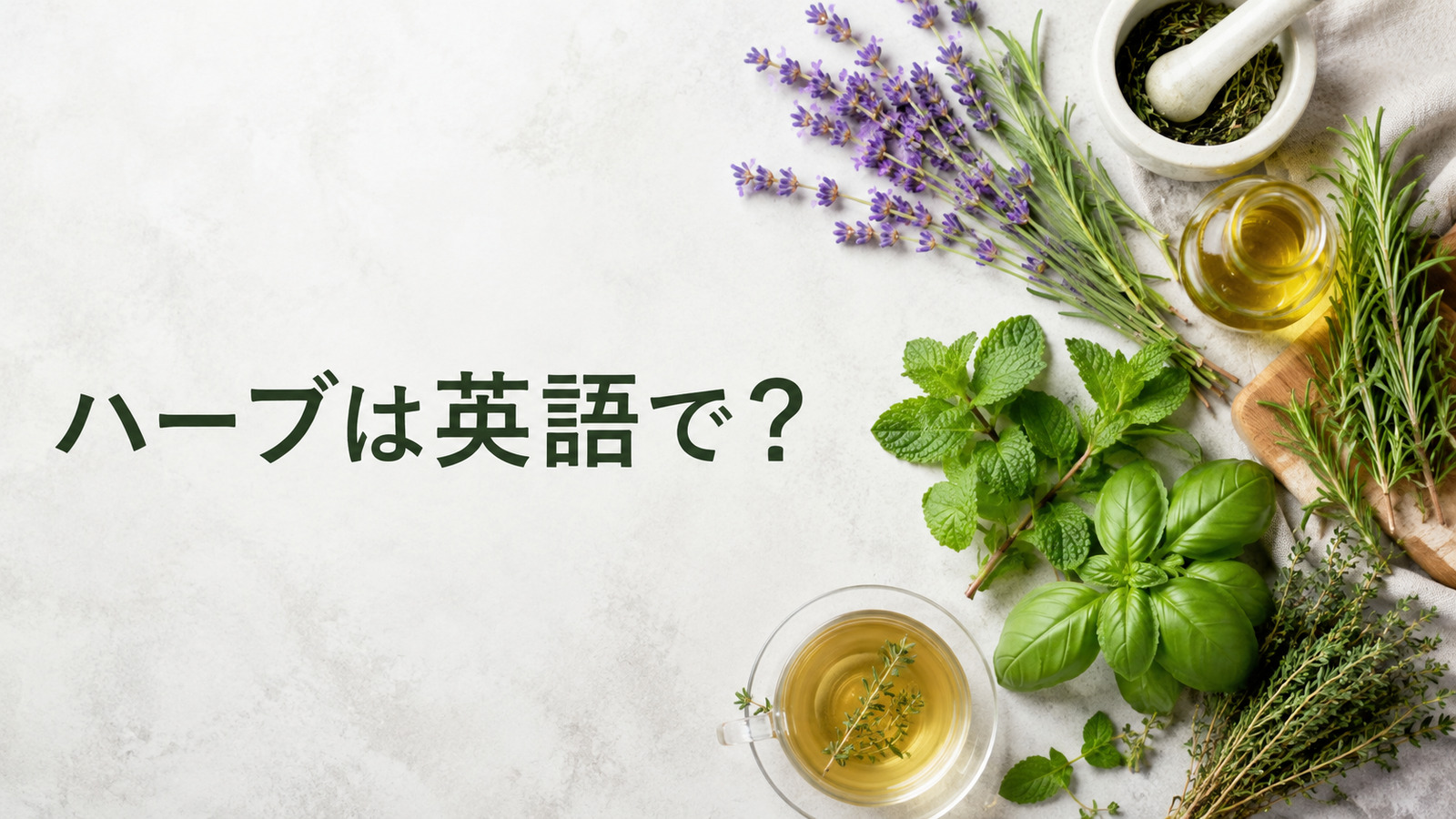 ハーブは英語でherb｜身近なハーブの英語一覧