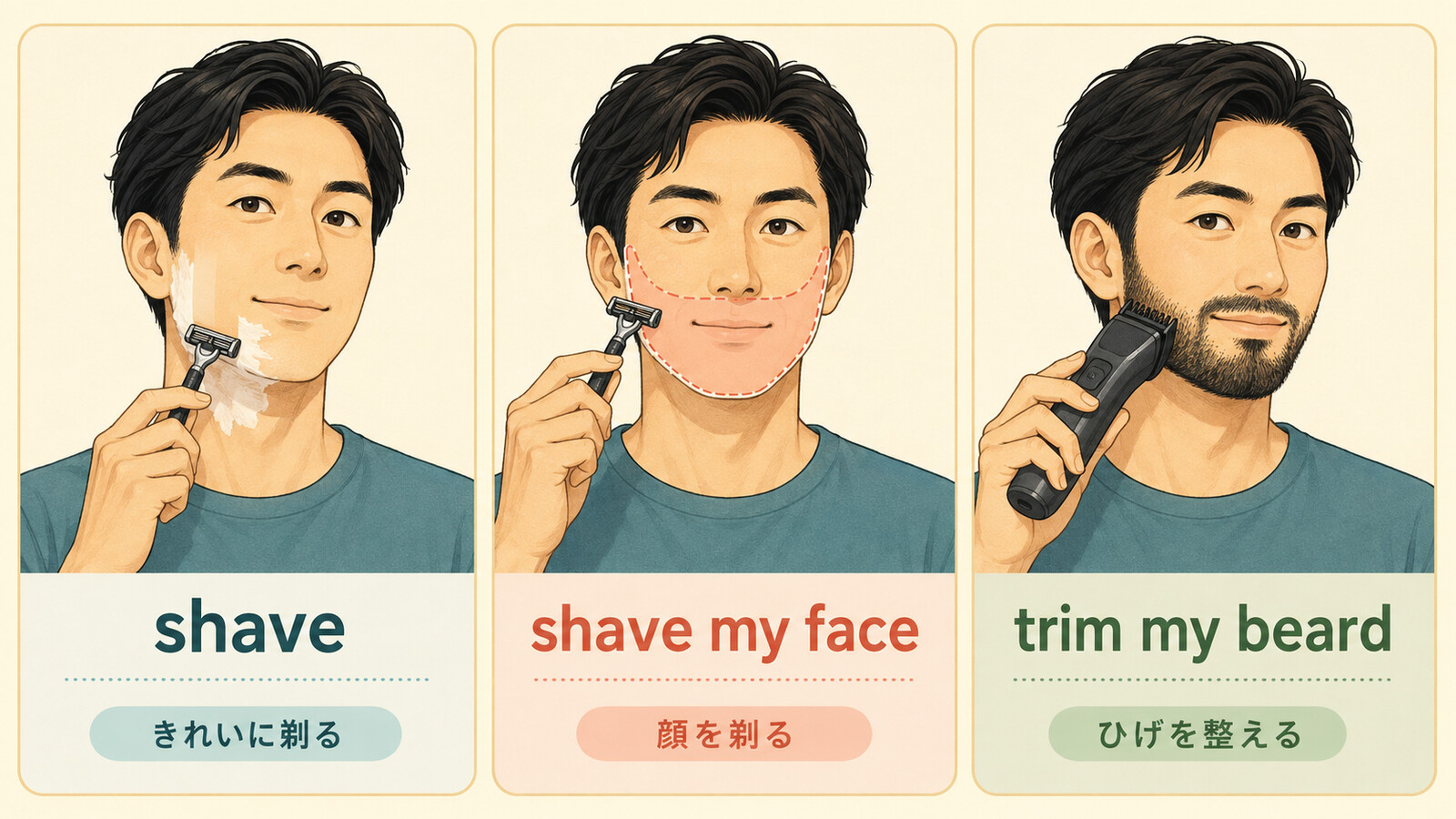 shave、shave my face、trim my beardの違いを示す解説イラスト