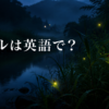 ホタルは英語でfireflyと紹介する初夏の夜の川辺のアイキャッチ