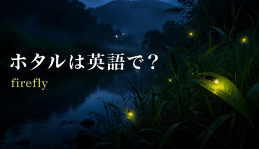 蛍は英語で？fireflyの意味・複数形・光る様子を表す英語例文