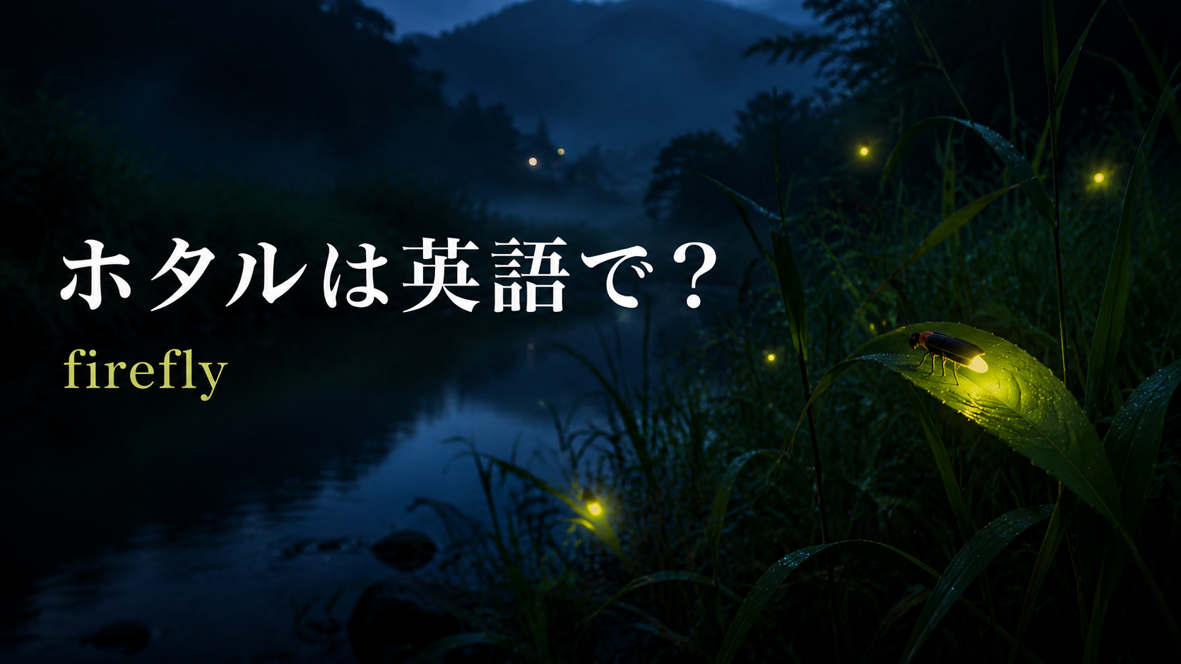 蛍は英語で？fireflyの意味・複数形・光る様子を表す英語例文