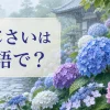 あじさいは英語で？hydrangeaと紹介する雨の寺院のアイキャッチ