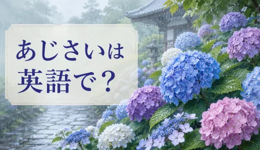 あじさいは英語で？hydrangeaの発音・色が変わる理由と梅雨の説明例文