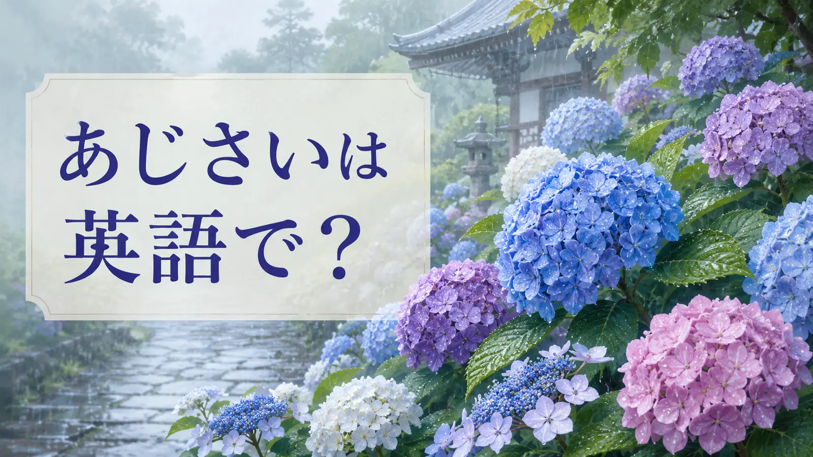 あじさいは英語で？hydrangeaの発音・色が変わる理由と梅雨の説明例文