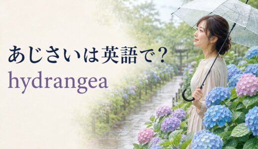 あじさいは英語で？hydrangeaの意味・発音と梅雨に使える例文