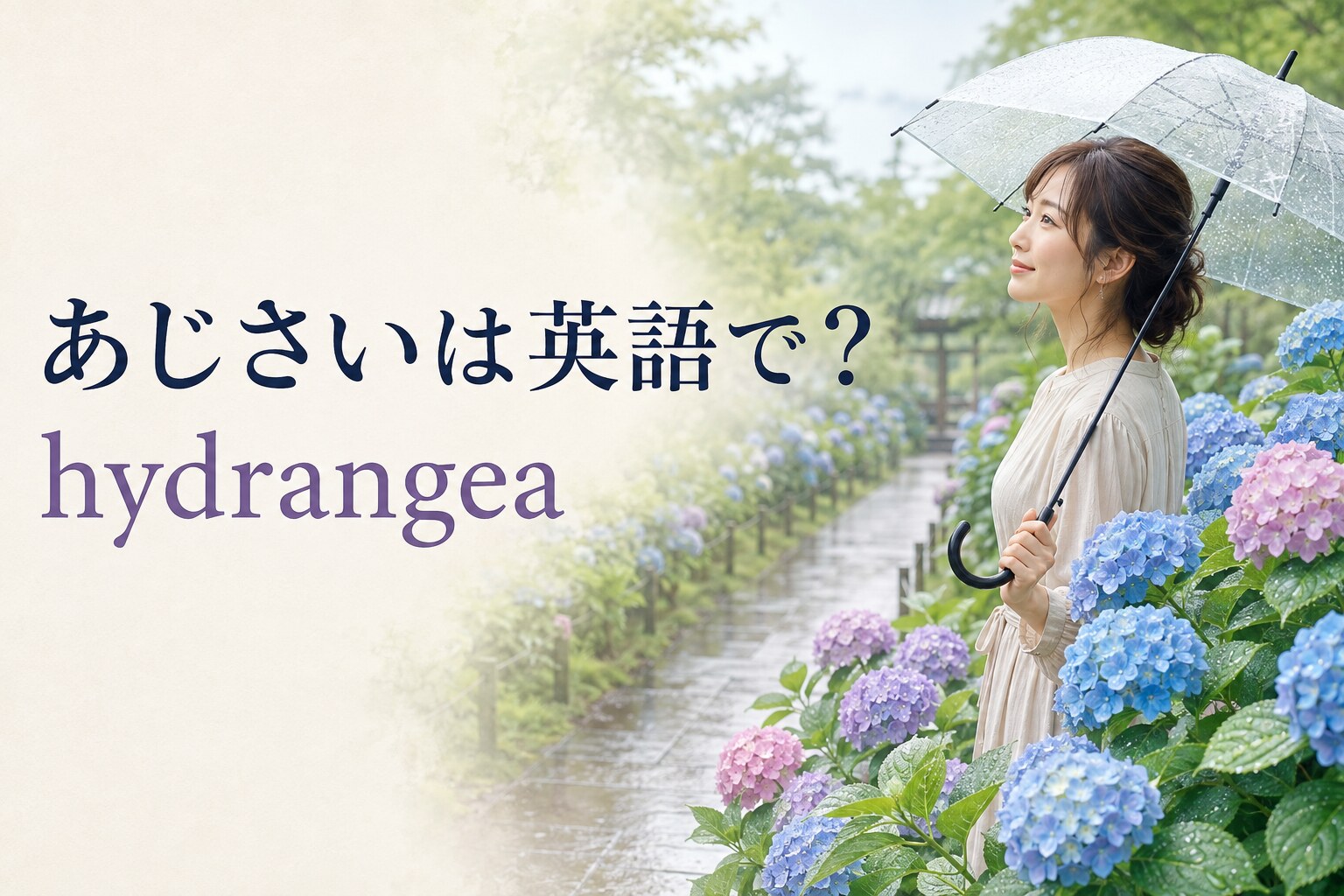 あじさいは英語で？hydrangeaの意味・発音と梅雨に使える例文