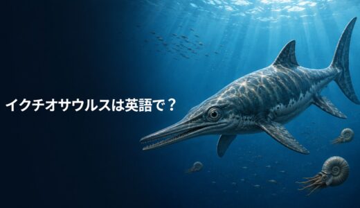 イクチオサウルスは英語で？Ichthyosaurusの発音・名前の意味と魚竜の英語