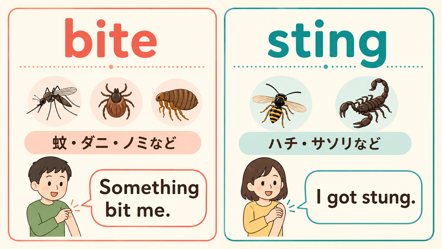 biteは蚊・ダニ・ノミなど、stingはハチ・サソリなどと示した虫刺され英語比較