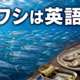 海を泳ぐイワシの群れと塩焼き・缶詰、「イワシは英語で？」の文字