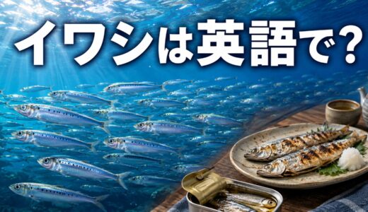 イワシは英語で？sardine・anchovy・herringの違いと料理表現