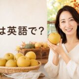 丸い日本の梨を手に英語を学ぶ女性