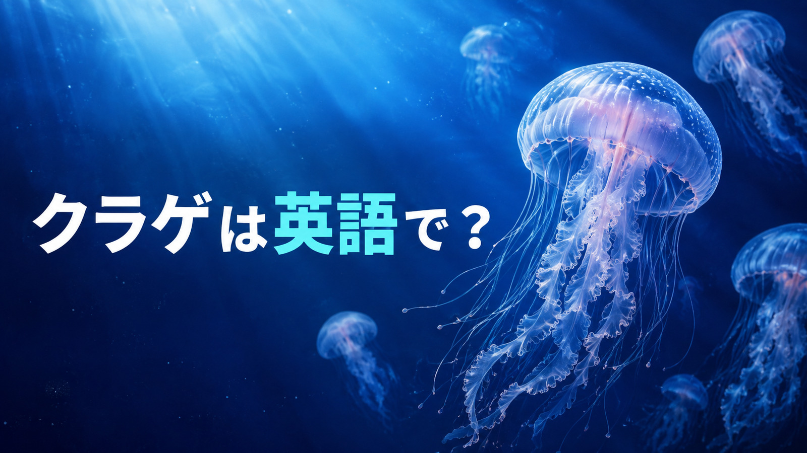 クラゲは英語で？jellyfishの発音・複数形と「刺された」の英語表現