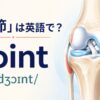 「関節」は英語で？jointの発音と膝関節