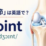 「関節」は英語で？jointの発音と膝関節