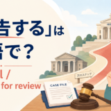 「上告する」は英語で？appeal・petition for reviewの違い
