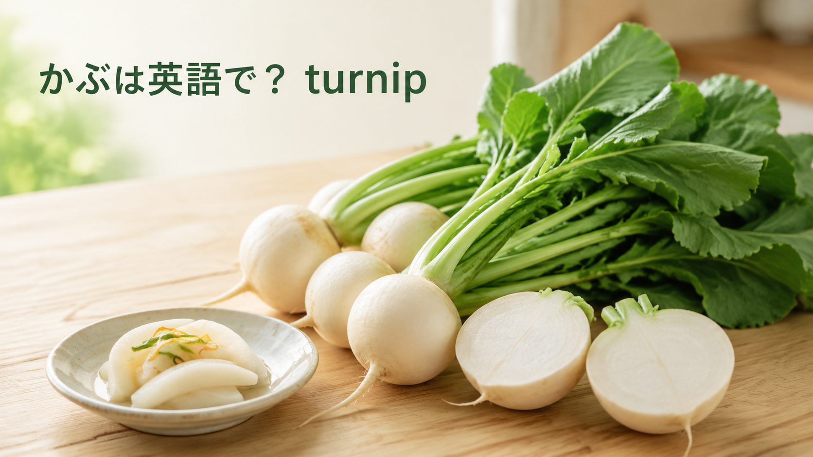 かぶは英語でturnipと説明する記事のアイキャッチ