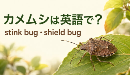 カメムシは英語で？stink bug・shield bugの違いと「臭い」の言い方