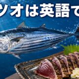 海を泳ぐカツオと鰹のたたき・かつお節、「カツオは英語で？」の文字