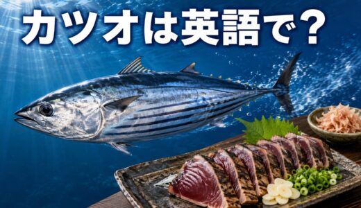 カツオは英語で？skipjack tuna・bonitoの違いと鰹のたたき・かつお節