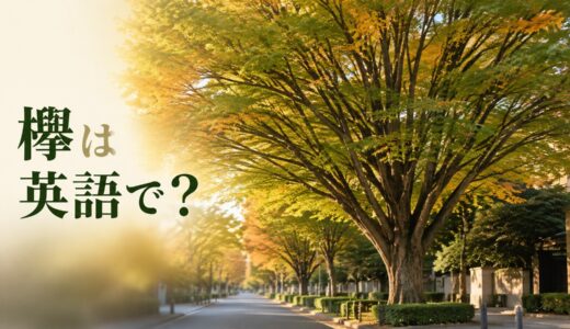 欅は英語で？Japanese zelkovaの発音・学名、elmとの違いと日本文化の説明