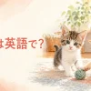 子猫は英語で？2匹の子猫が遊ぶイラスト