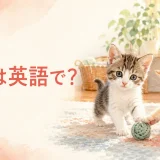 子猫は英語で?2匹の子猫が遊ぶイラスト