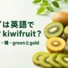 茶色い皮のキウイフルーツ、緑と黄色の断面、薄切りとスプーンですくった果肉