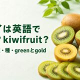 茶色い皮のキウイフルーツ、緑と黄色の断面、薄切りとスプーンですくった果肉