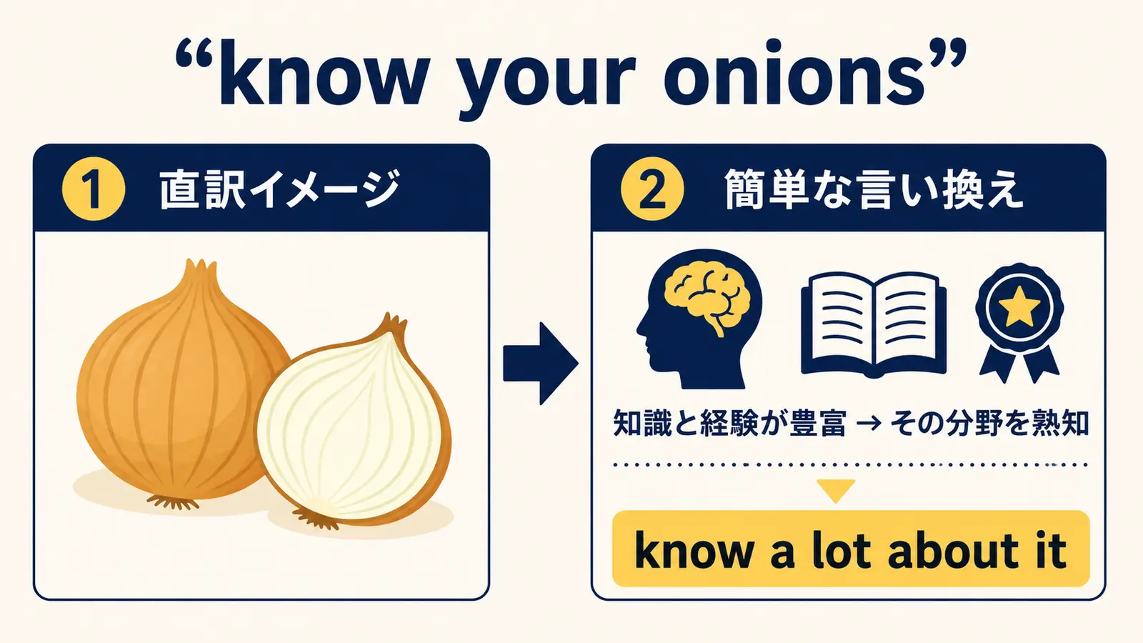 know your onionsの直訳イメージと実際の意味の図解