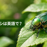 葉の上の光沢ある緑色のコガネムシと「コガネムシは英語で？」の文字