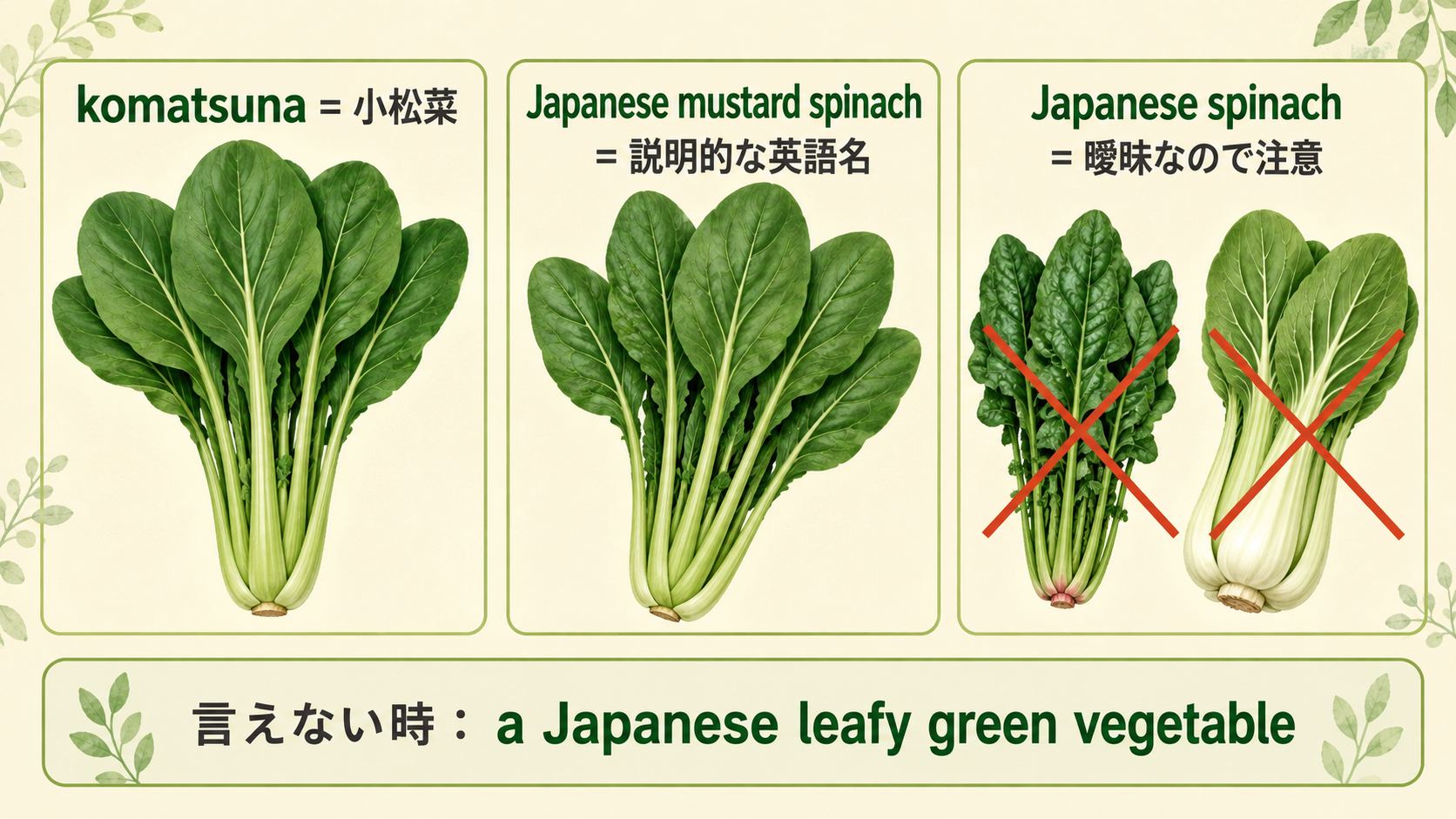 komatsuna、Japanese mustard spinach、Japanese spinachの違いと言い換え