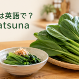 小松菜は英語でkomatsunaと伝えるアイキャッチ