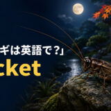 秋の夜のコオロギと「コオロギは英語で？ cricket」の文字